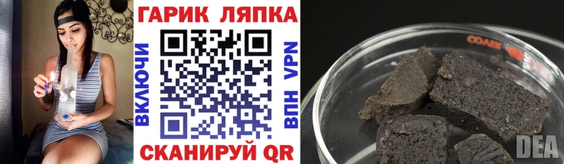 где найти наркотики  Гатчина  ГАШ Premium 