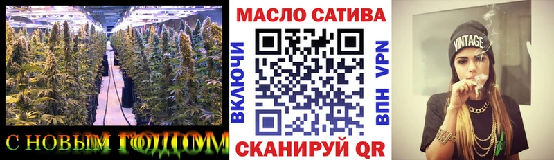 мега ссылки  купить наркоту  Гатчина  ТГК THC oil 